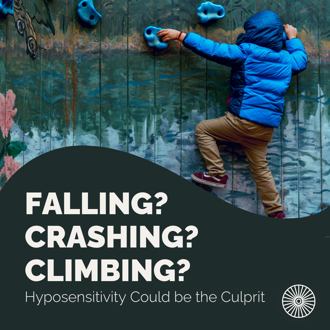 A sensory seeking child climbing a rock wall. The text says, "Falling? Crashing? Climbing? Hyposensitivity could be the culprit."