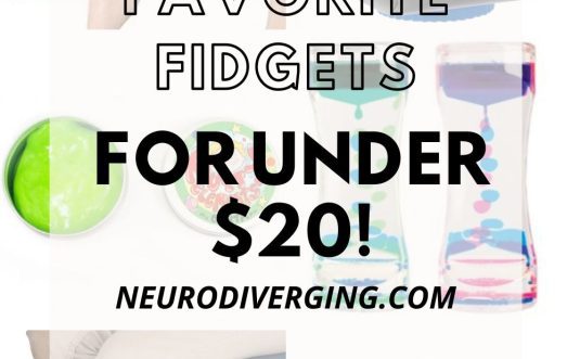 neurodivergent family favorite fidgets