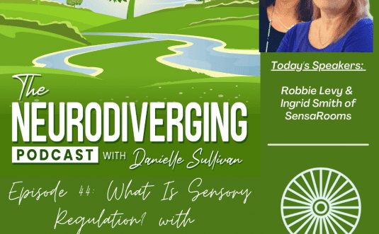 what is sensory regulation? neurodiverging podcast