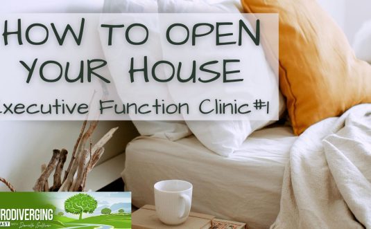 executive function clinic part 1